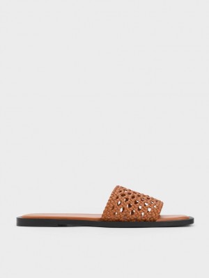 Charles & Keith Woven Square-Kappe Pantoletten Braun | 216BDRIML