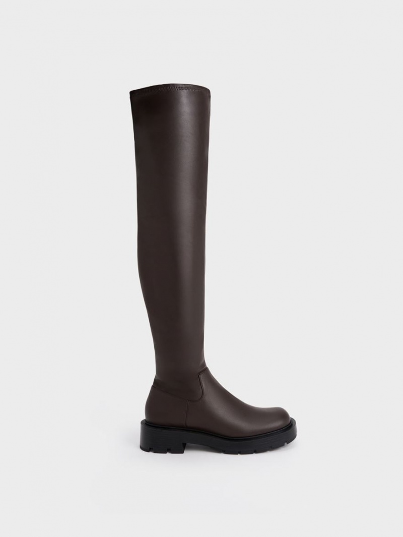 Charles & Keith Zip-Up Thigh Hohe Stiefel Dunkelbraun | 269BDKQZI